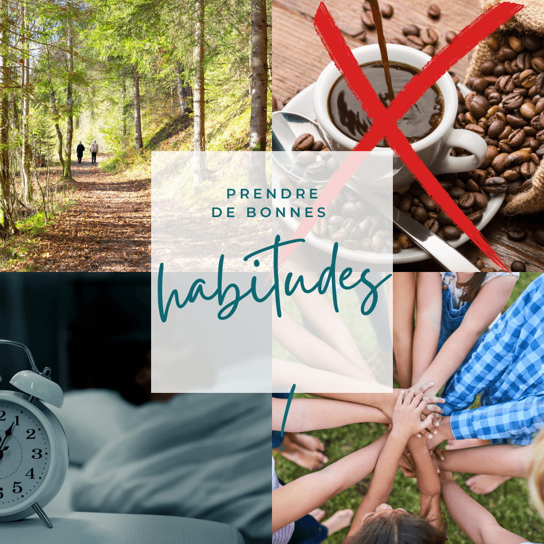 Les bonnes habitudes - Chrystelle Rousseau